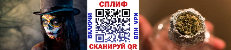 как найти закладки  Подпорожье  Марихуана план 